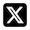 x icon