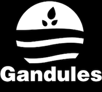 gandules logo